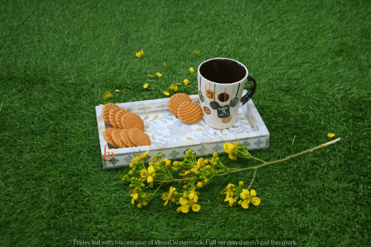 Handmade Customized Mother of Pearl Inlay Serving Tray