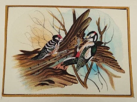 Handmade Bird Painting on Silk Fabric for Home and Office Decor