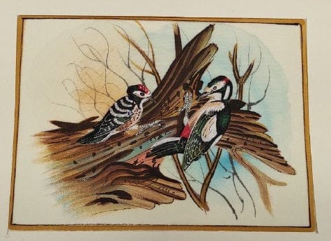 Handmade Bird Painting on Silk Fabric for Home and Office Decor
