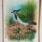 Handmade Bird Painting on Silk Fabric for Home and Office Decor