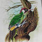 Handmade Bird Painting on Silk Fabric for Home and Office Decor