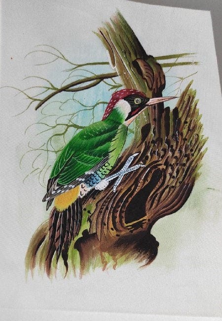 Handmade Bird Painting on Silk Fabric for Home and Office Decor