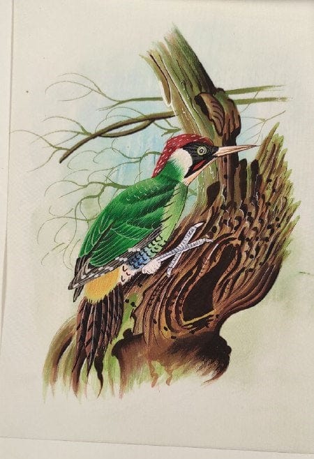 Handmade Bird Painting on Silk Fabric for Home and Office Decor