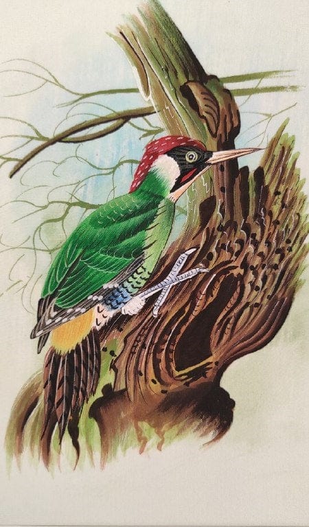 Handmade Bird Painting on Silk Fabric for Home and Office Decor