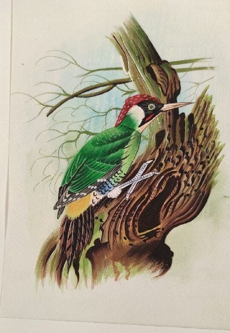 Handmade Bird Painting on Silk Fabric for Home and Office Decor