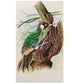 Handmade Bird Painting on Silk Fabric for Home and Office Decor