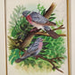 Handmade Birds Painting on Silk Fabric for Home and Office Decor