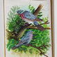 Handmade Birds Painting on Silk Fabric for Home and Office Decor