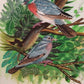 Handmade Birds Painting on Silk Fabric for Home and Office Decor