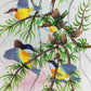 Handmade Birds Painting on Silk Fabric for Home and Office Decor