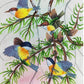 Handmade Birds Painting on Silk Fabric for Home and Office Decor