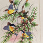 Handmade Birds Painting on Silk Fabric for Home and Office Decor