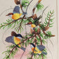 Handmade Birds Painting on Silk Fabric for Home and Office Decor