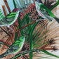 Handmade Birds Painting on Silk Fabric for Home and Office Decor