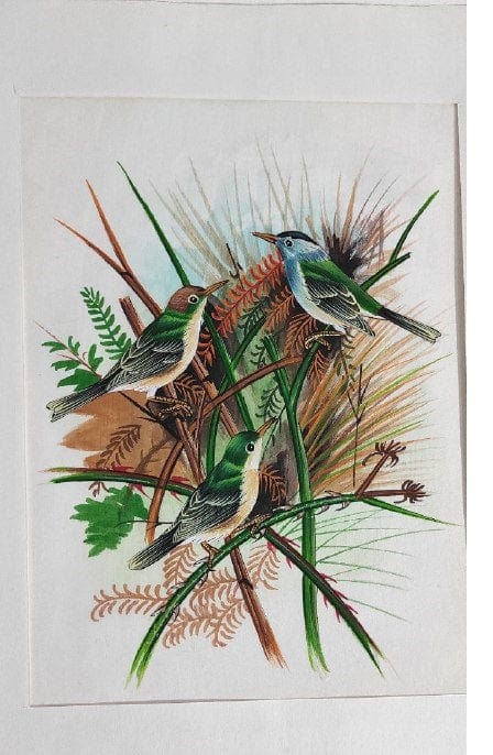Handmade Birds Painting on Silk Fabric for Home and Office Decor