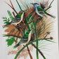 Handmade Birds Painting on Silk Fabric for Home and Office Decor