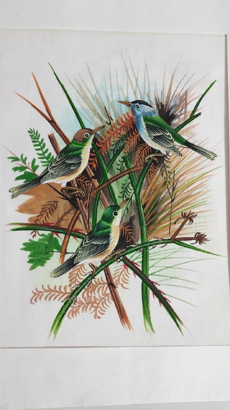 Handmade Birds Painting on Silk Fabric for Home and Office Decor